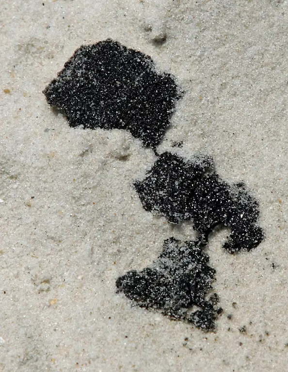 Gulf-Oil-Spill-ALMOP307-jpg1573500732858062123