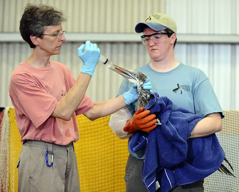 2qra1340-jpg7895005431171132835