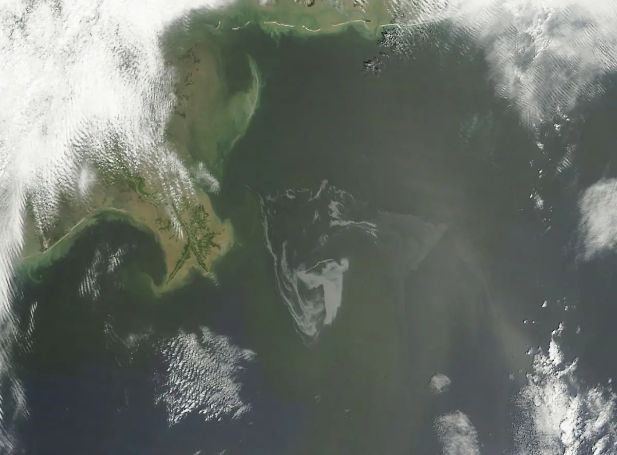 Gulf-Oil-Spill-NY123-jpg6516623316721708061