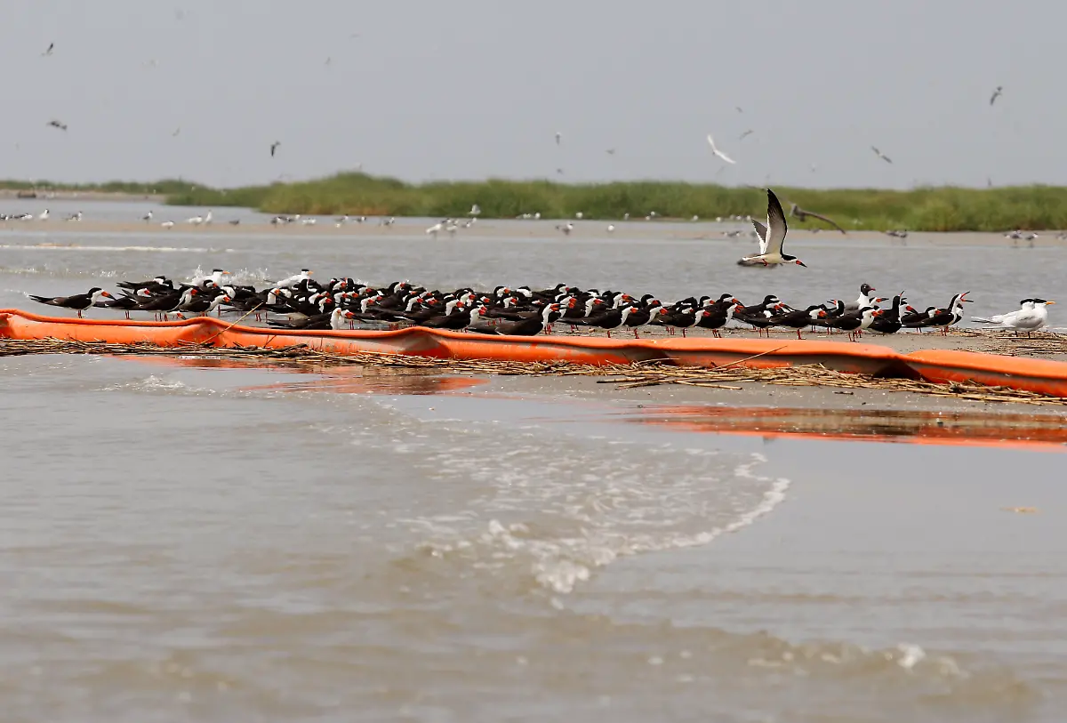 CORRECTION-Gulf-Oil-Spill-LAPS108-jpg4625340457497746008