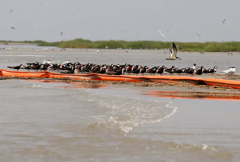 CORRECTION-Gulf-Oil-Spill-LAPS108-jpg4625340457497746008