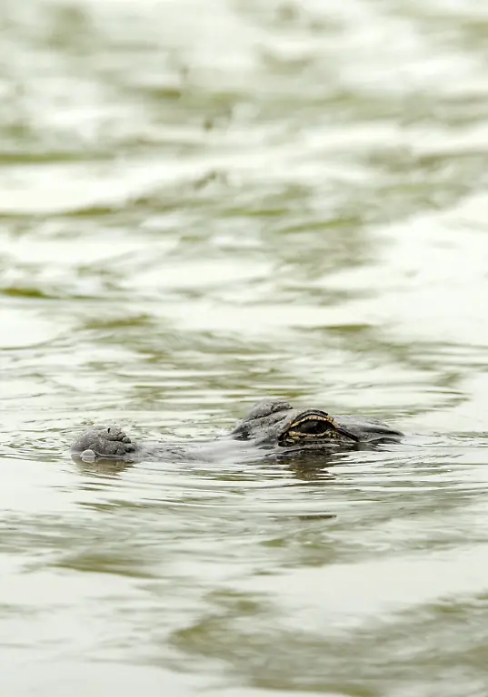 2qsv3254-jpg6082443769927736298