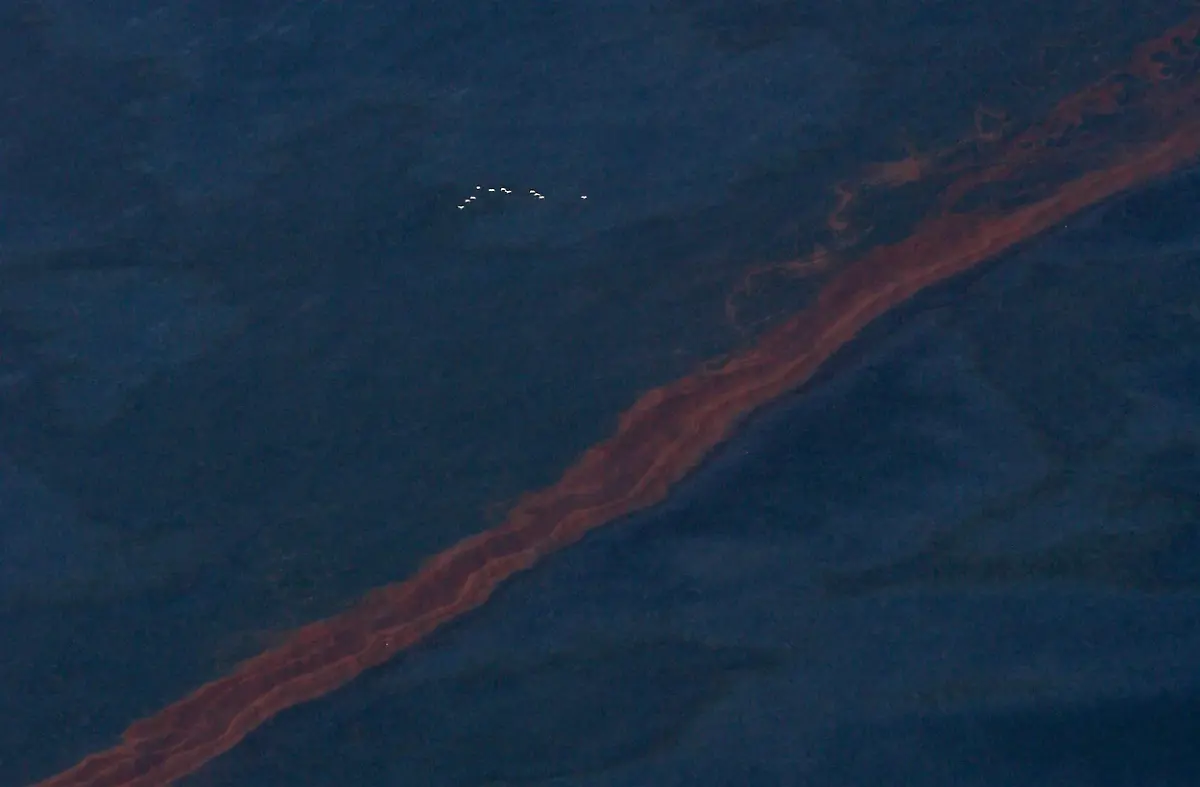 2qp71539-jpg5278549571227056963