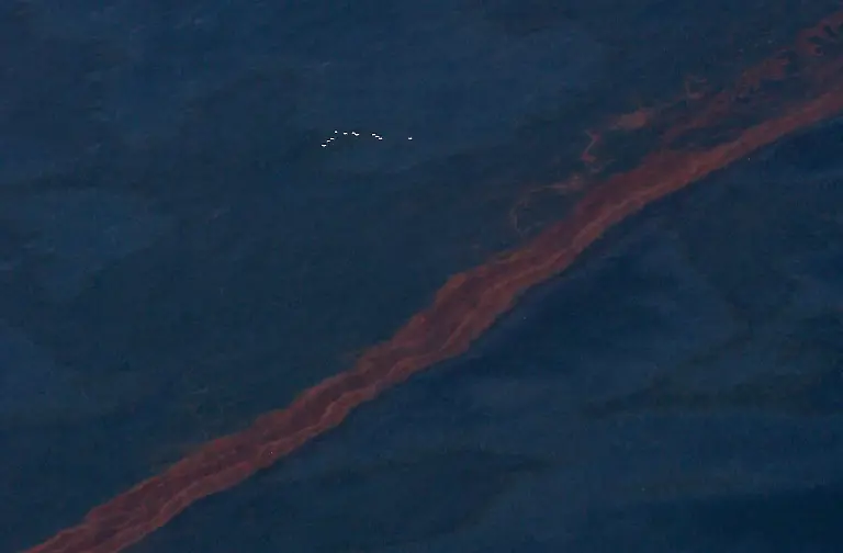 2qp71539-jpg5278549571227056963