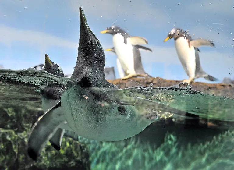 2qp30134-jpg1849449054574526546