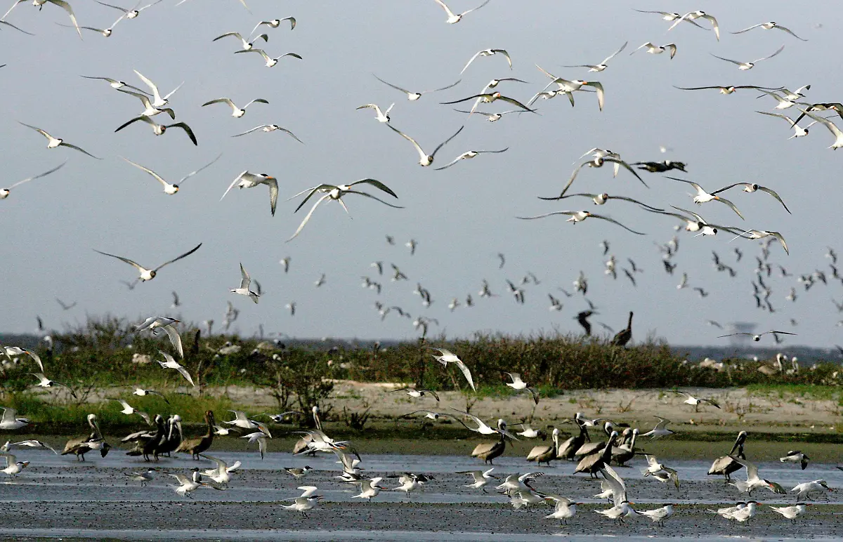 2010-04-30T032724Z-01-WAS48-RTRMDNP-3-USA-RIG-LEAK-JPG8937125160824577435