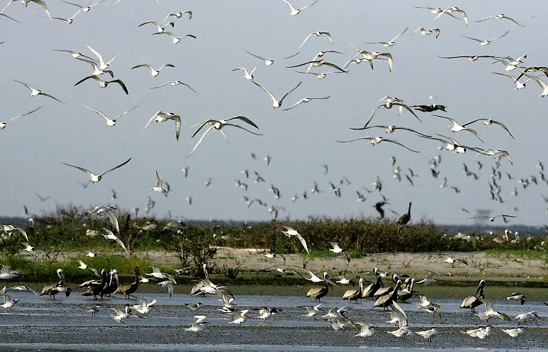 2010-04-30T032724Z-01-WAS48-RTRMDNP-3-USA-RIG-LEAK-JPG8937125160824577435