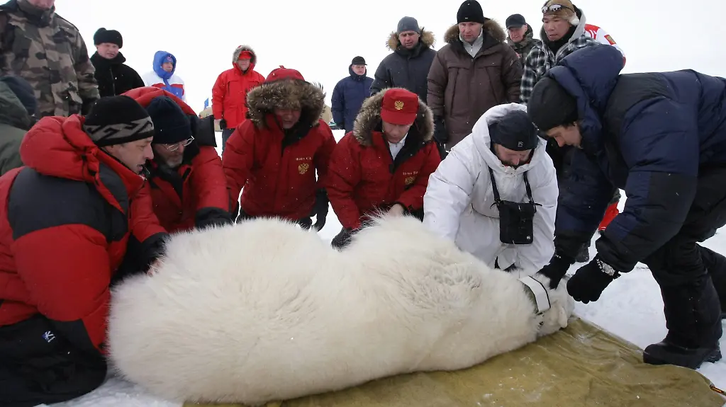 2qoy2605-jpg983615779386816963