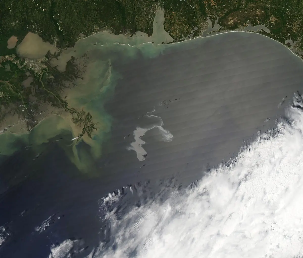 2qnv2039-jpg1119791572660147781