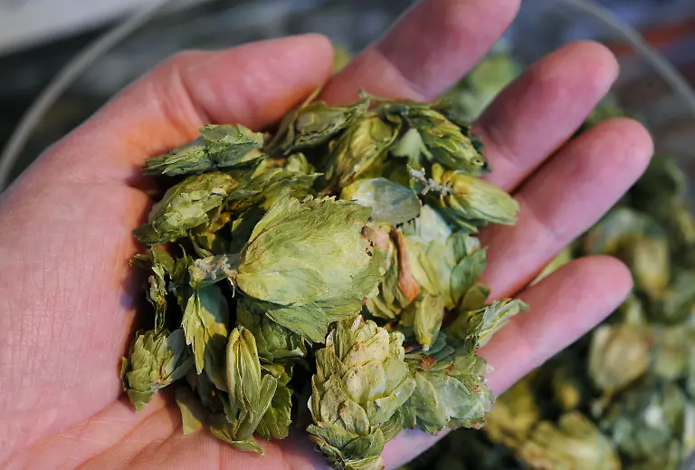 2ql12904-jpg3954518509646575499