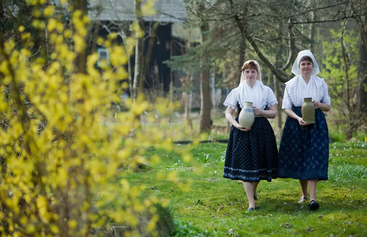 2q5o1613-jpg3823957383392991266