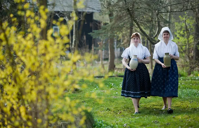 2q5o1613-jpg3823957383392991266