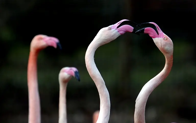 2pxh0210-jpg7158229125661280638