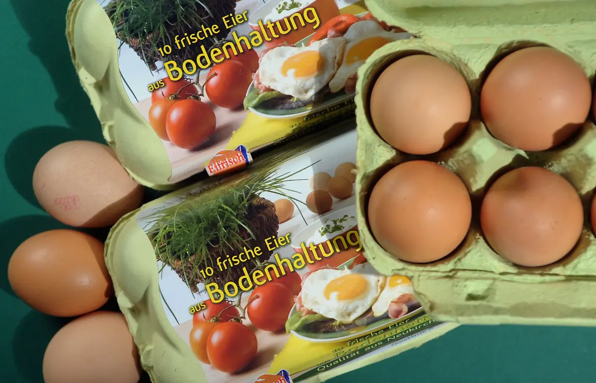 Bodenhaltung2