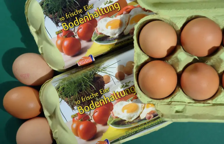 Bodenhaltung2