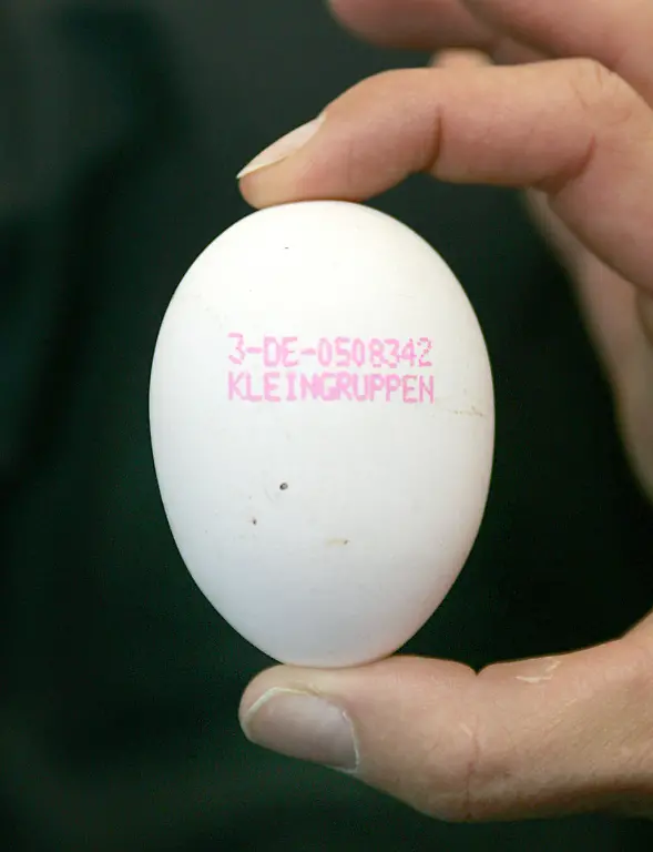 Ei-Kennzeichnung-Kleingruppe