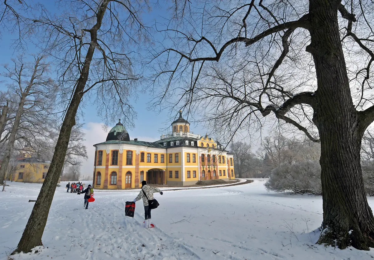 2pr23004-jpg3141479747979462596