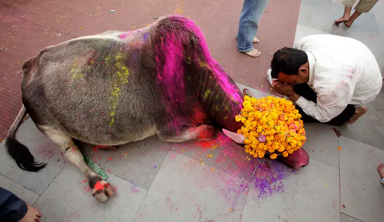 India-Festival-DEL144-jpg5609163459252128507