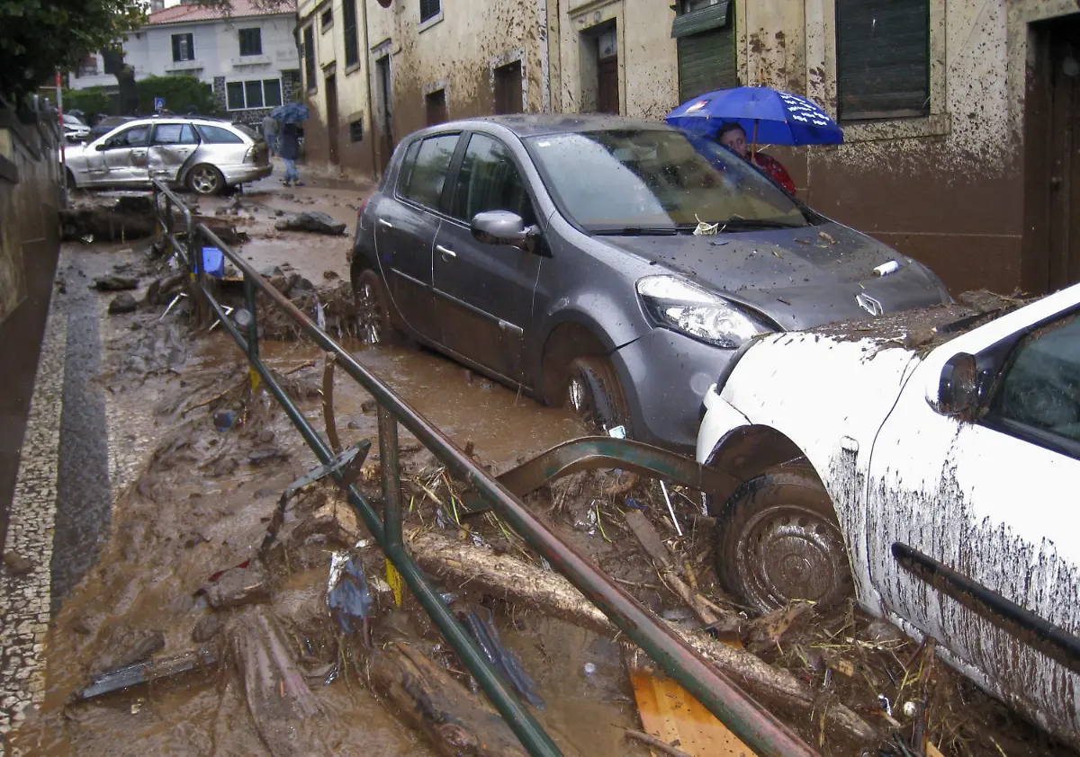 2pdv4733-jpg8423491786987230688