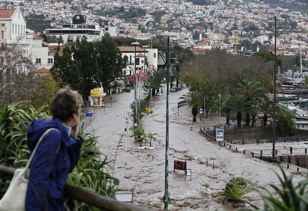 2pdx1114-jpg4974105629022690719