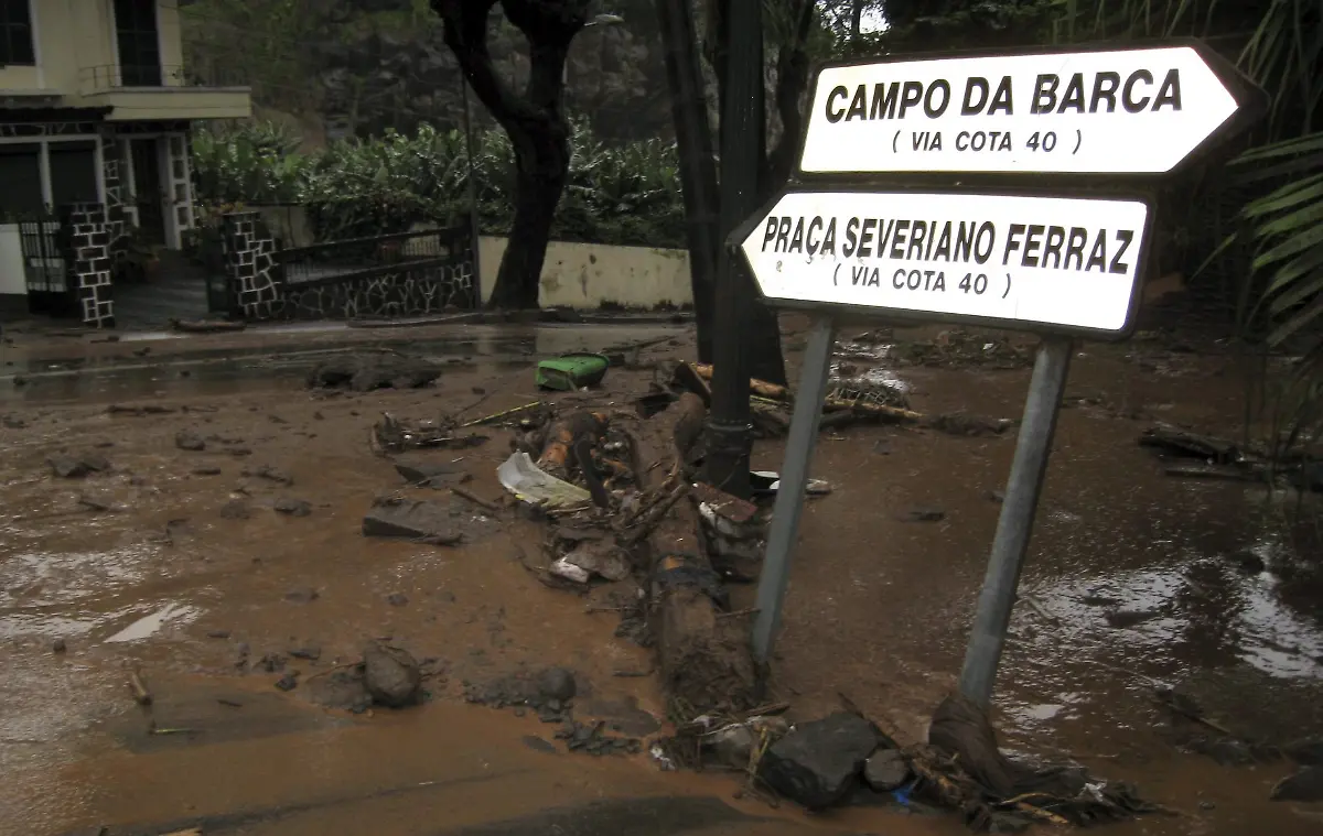 2pdu5556-jpg7445880268873035613