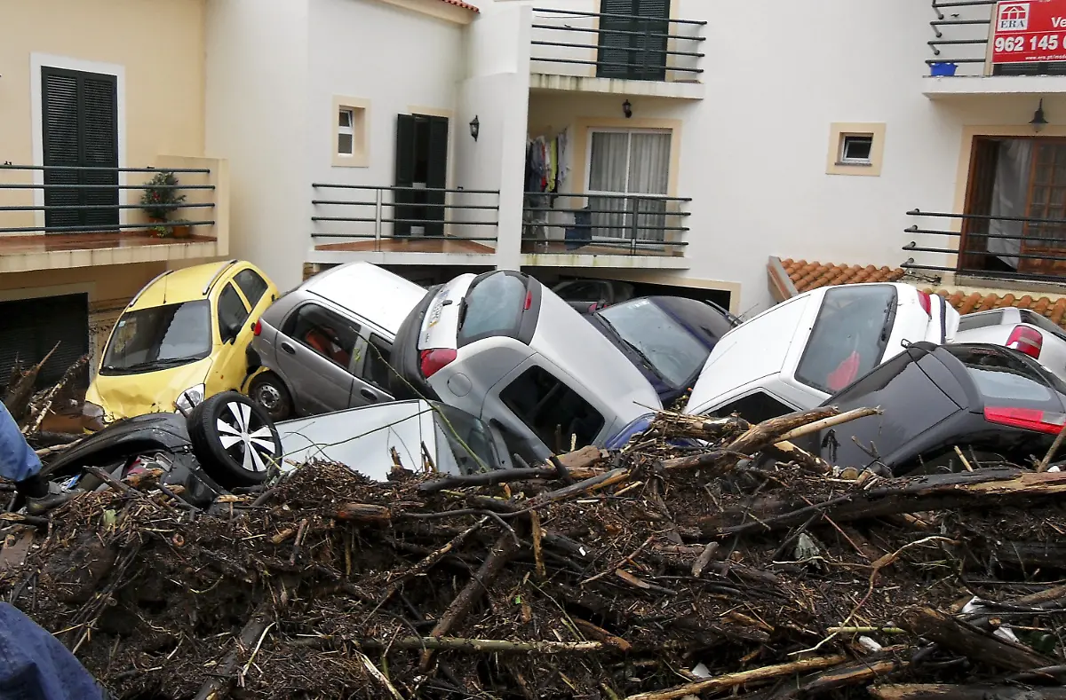 2pdw3956-jpg1585262442260923195