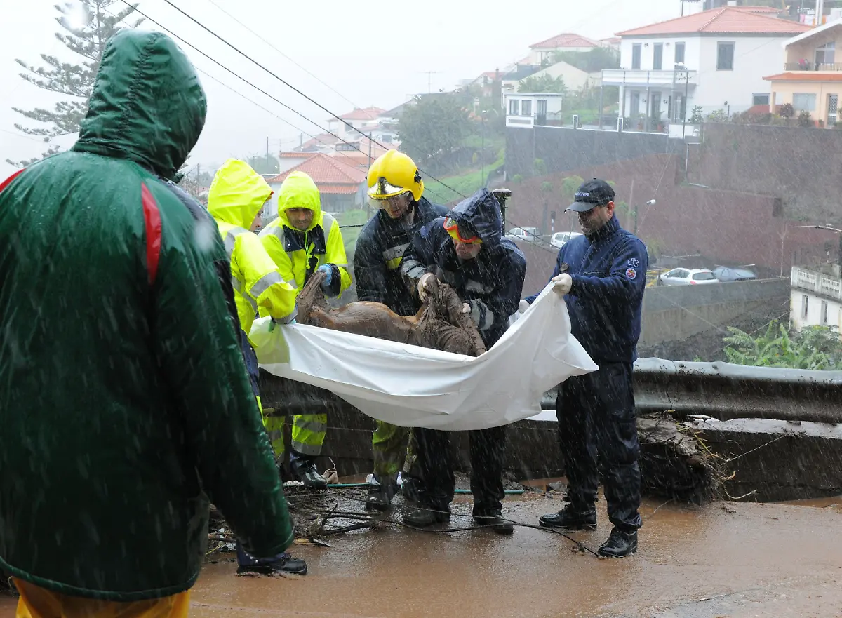 Portugal-Madeira-Floods-XAF105-jpg5428167110797321352