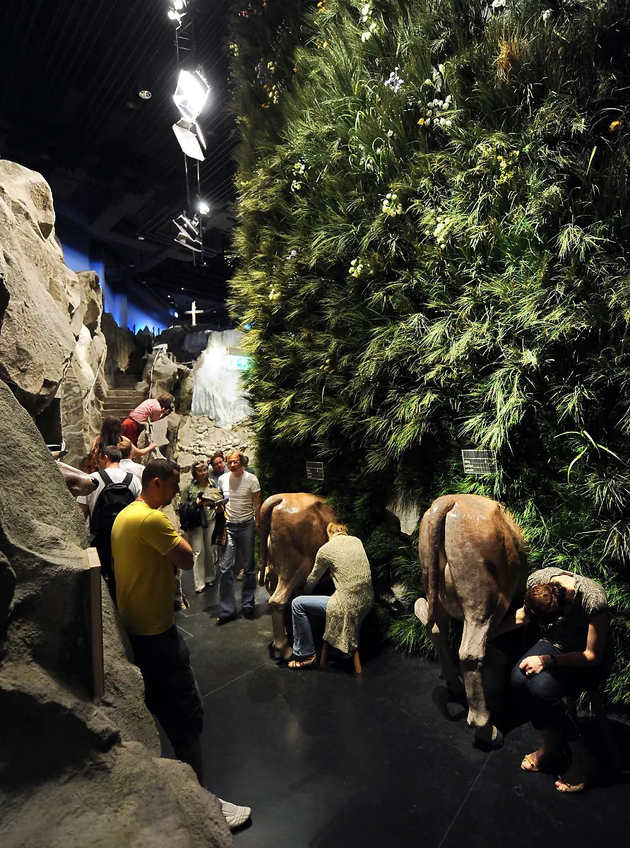 Klimahaus-Schweiz-kuehe