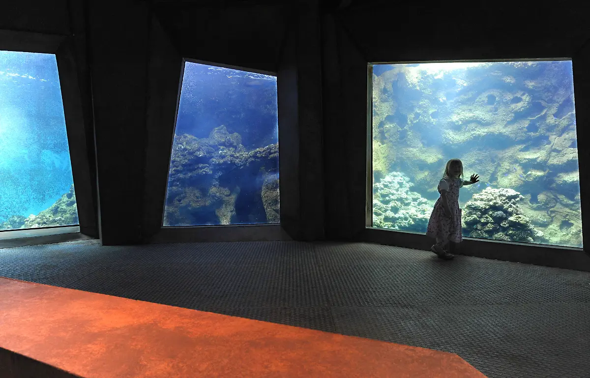 Klimahaus-samoa-aquarien