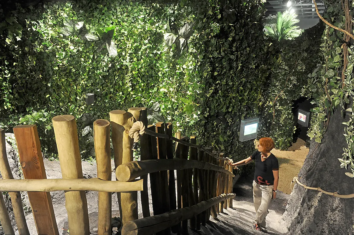 Klimahaus-samoa-urwald