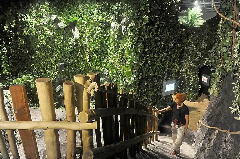 Klimahaus-samoa-urwald