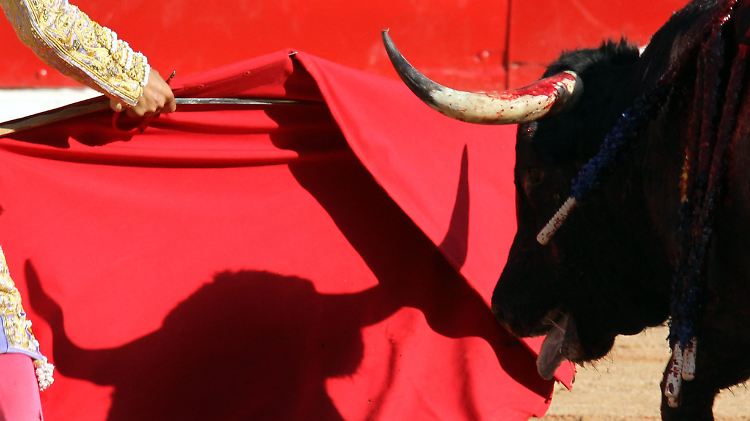 Die Finanzmärkte nehmen Spanien auf die Hörner.