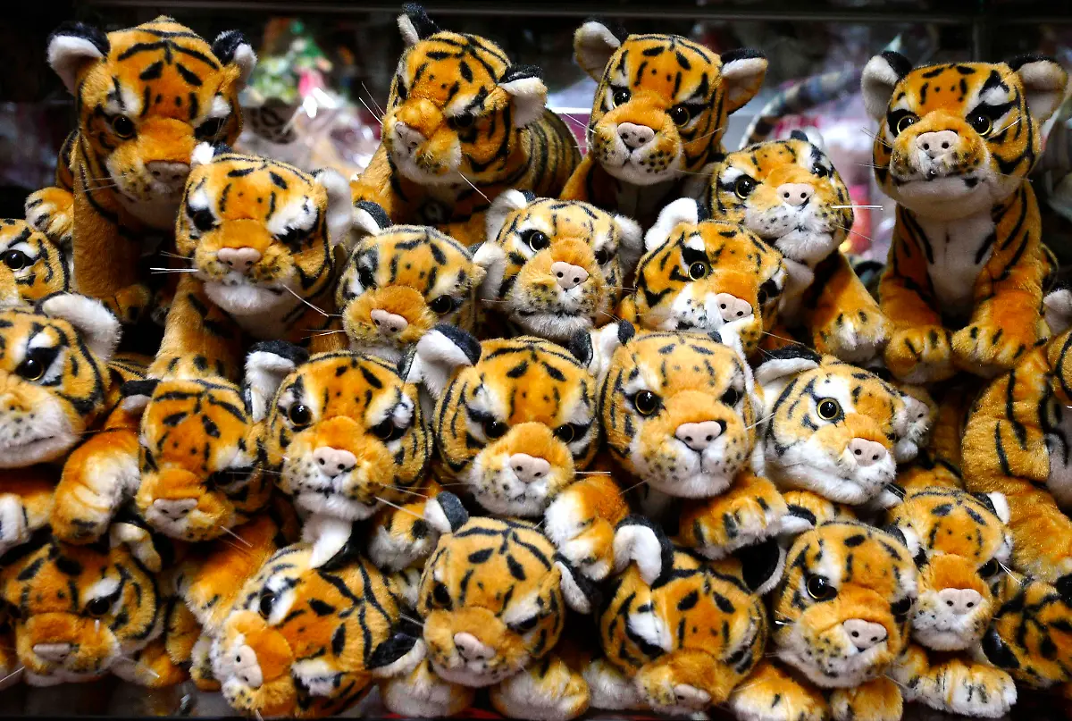 PEK04-CHINA-0202-11-JPG8220192384603382797