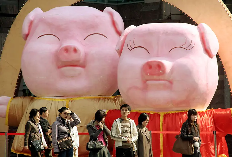 China-neujahr-schweine