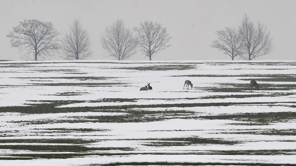 2oud0400-jpg8052741685753464637