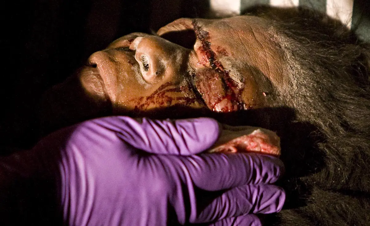 Haiti-Earthquake-MTLP101-jpg5853815576186375550