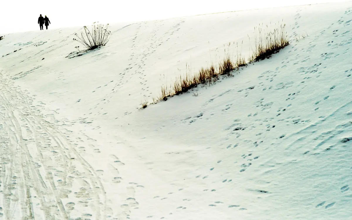 2om50418-jpg6669508592514650833