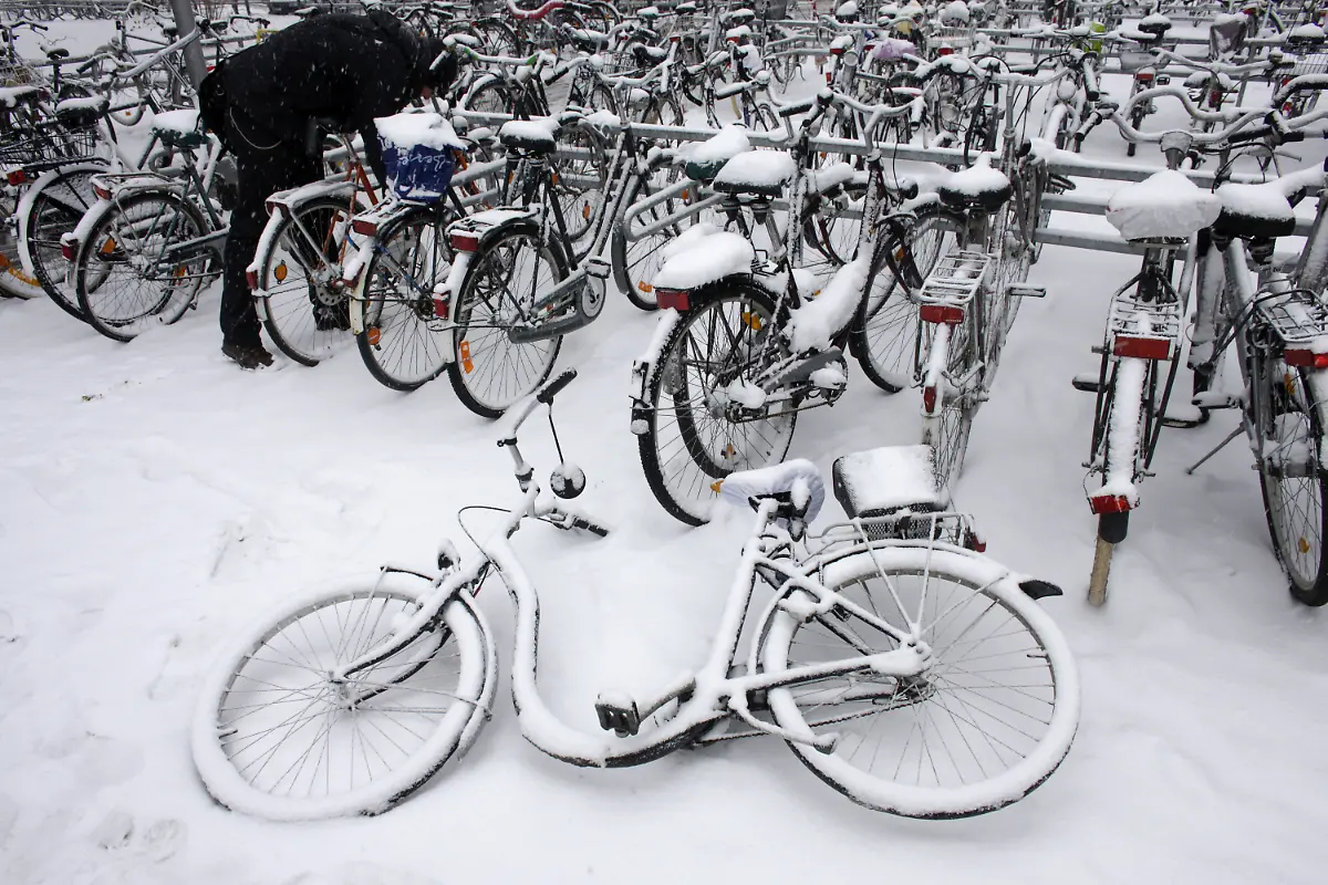 2ols1201-jpg816332936393240386