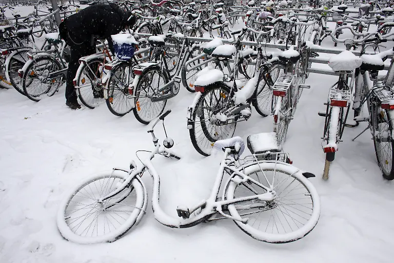 2ols1201-jpg816332936393240386