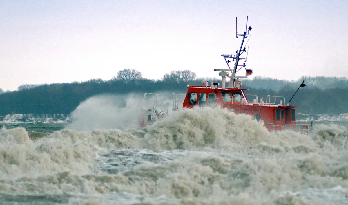 2ome1136-jpg467382015550003262