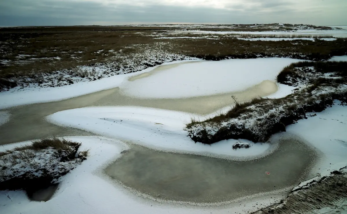 2om50501-jpg1219944544562625561