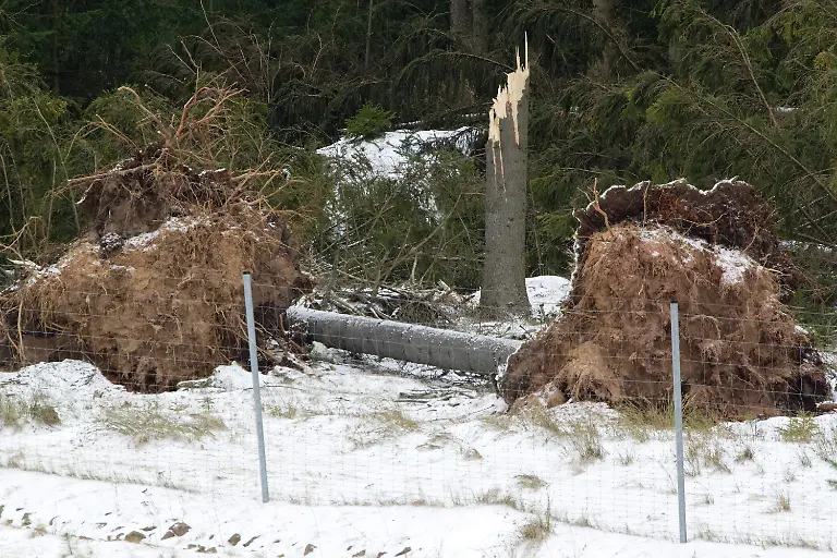 2omd1627-jpg1811819154407954100