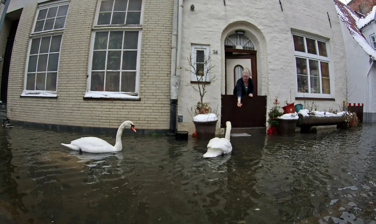 2omc4144-jpg2876528697803785976