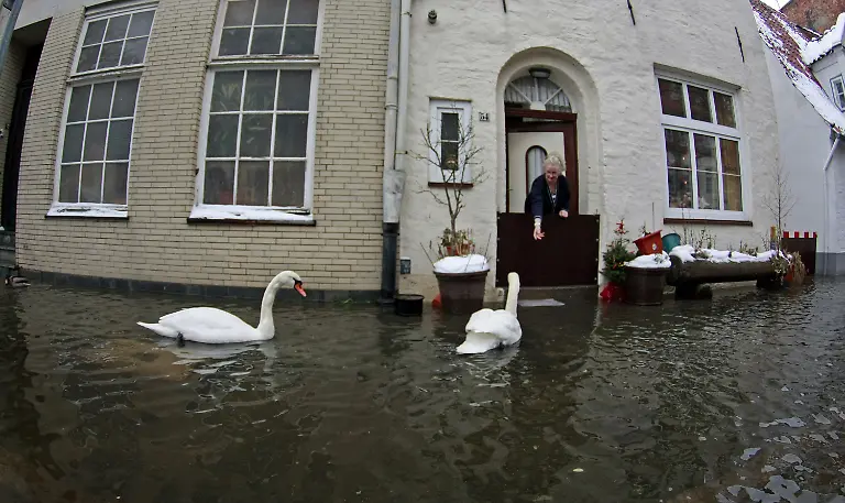 2omc4144-jpg2876528697803785976