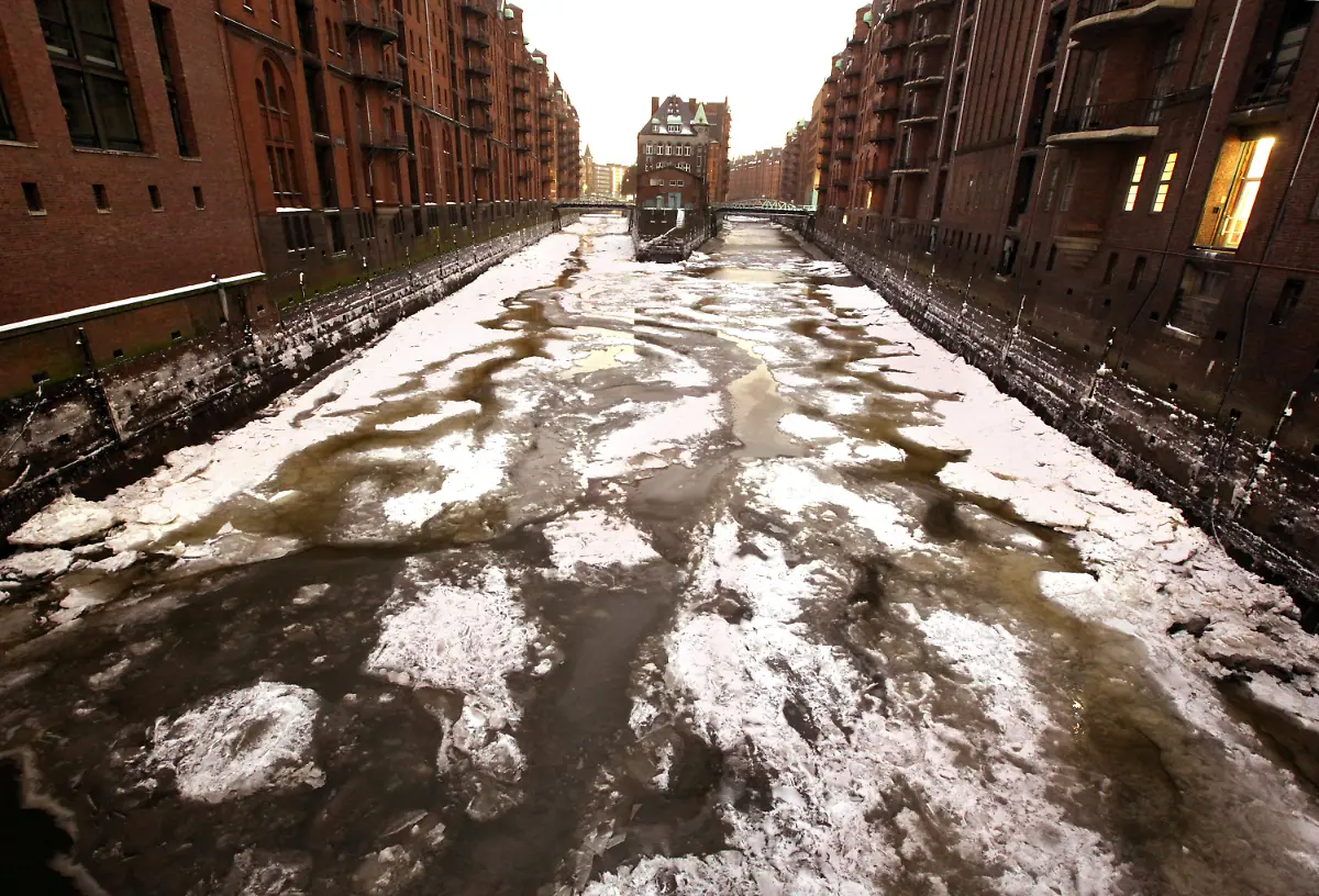 2omb5123-jpg5857960783854920509