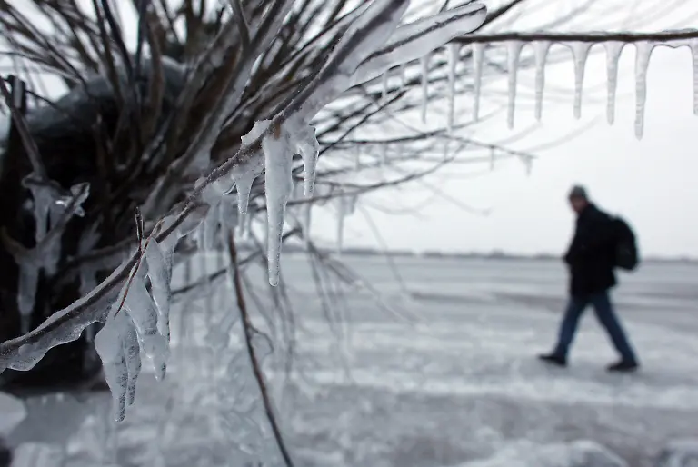 2om51104-jpg3497421441537974653