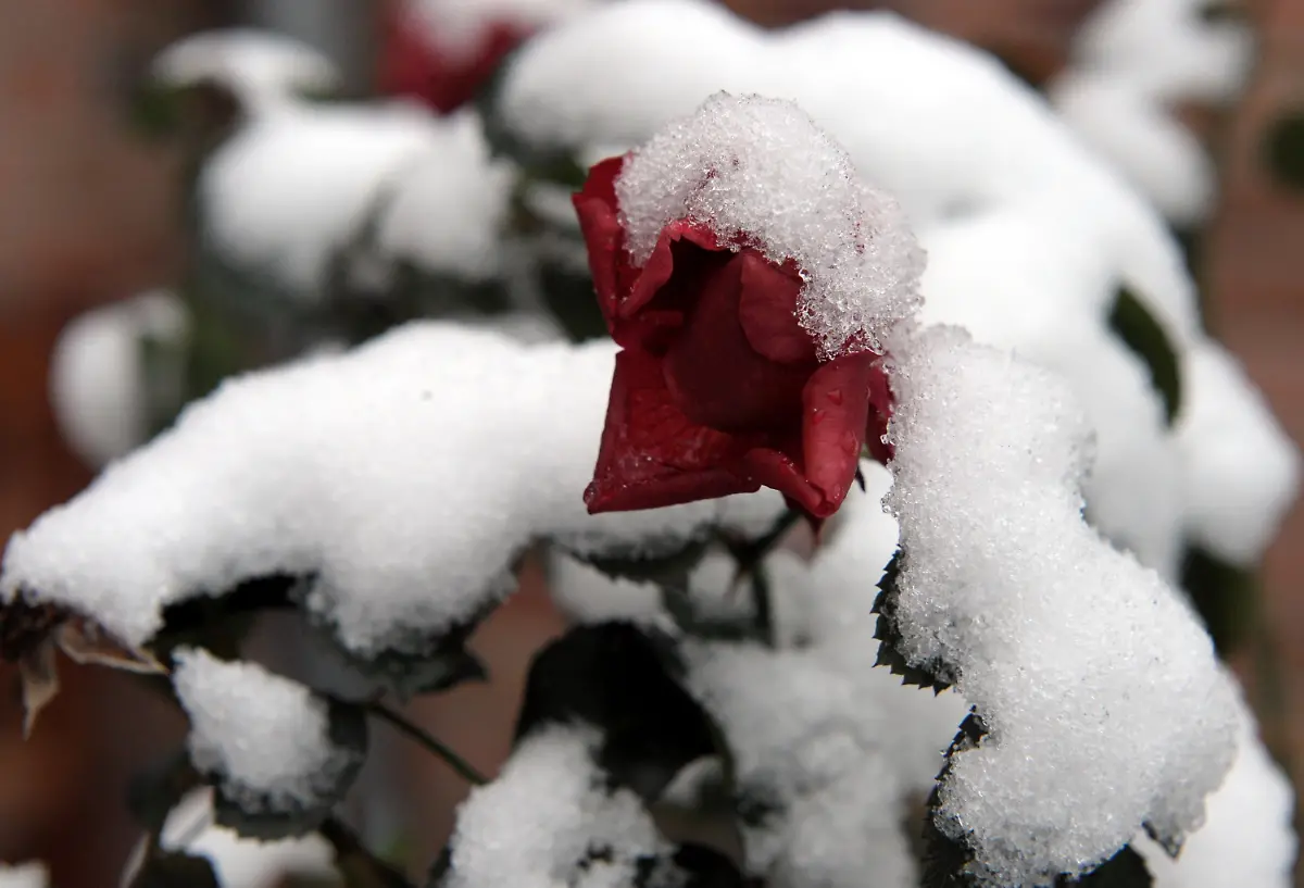 2ohq5407-jpg409683307230462977