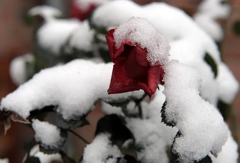 2ohq5407-jpg409683307230462977