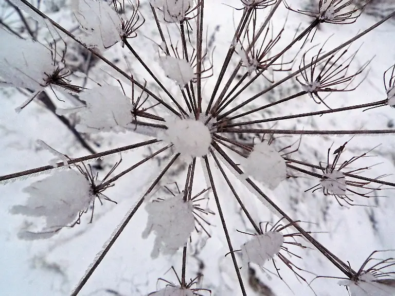 2of30309-jpg5966218964539054392