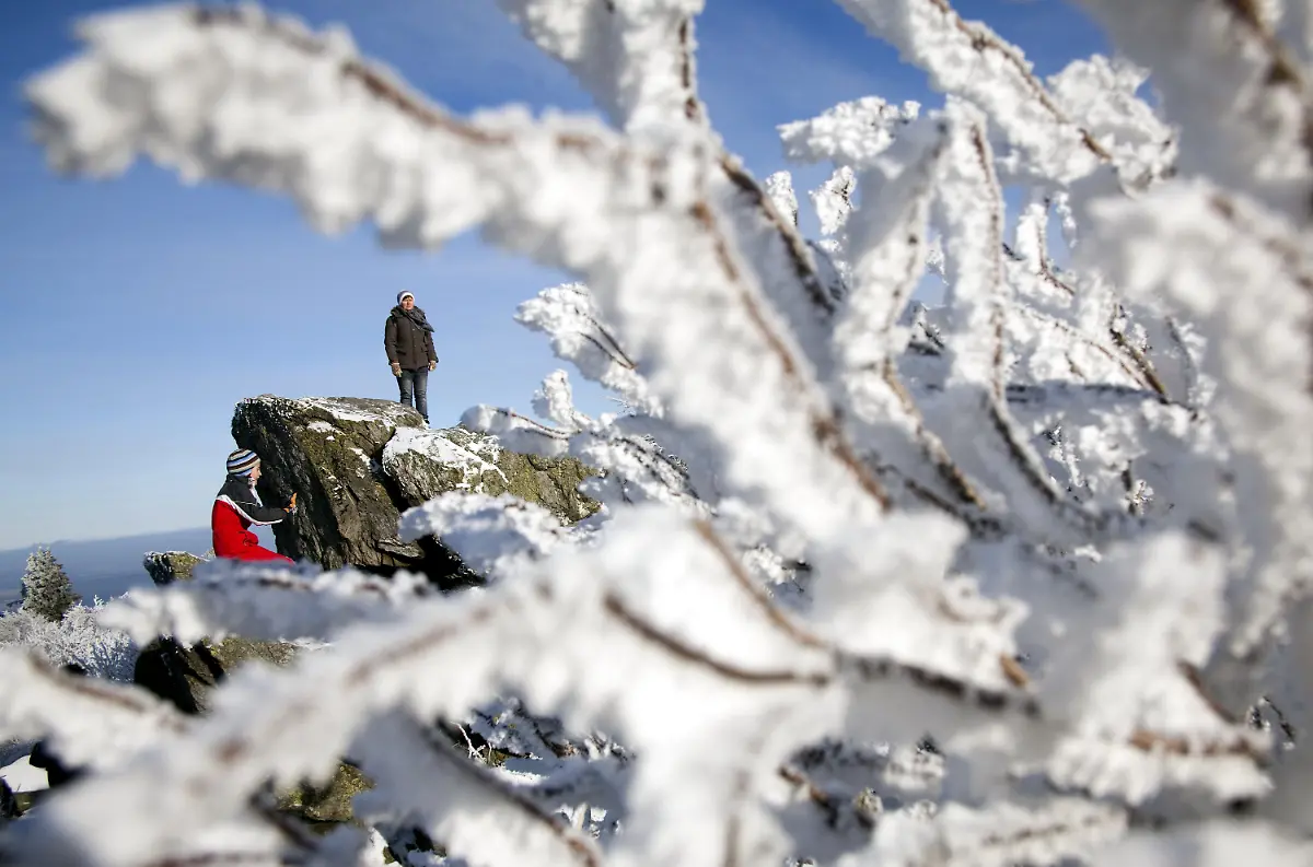 2oh52119-jpg174409341075509800